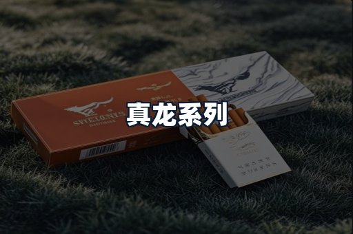 真龙系列